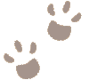 pawprint